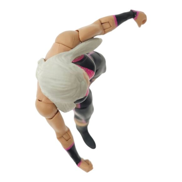 WWE Dana Brooke Wrestling Action Figure 6.25" Toy Loose 2013 Mattel - Picture 9 of 12